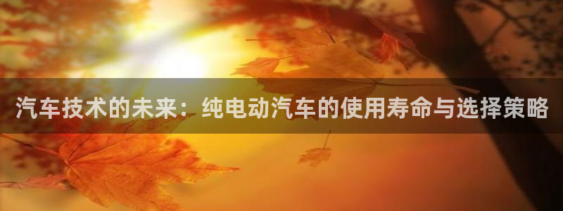 优发国际注册平台官网：汽车技术的未来：纯