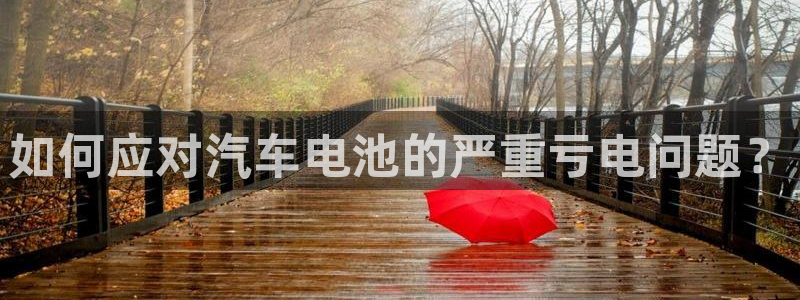 优发国际合并到哪里了啊