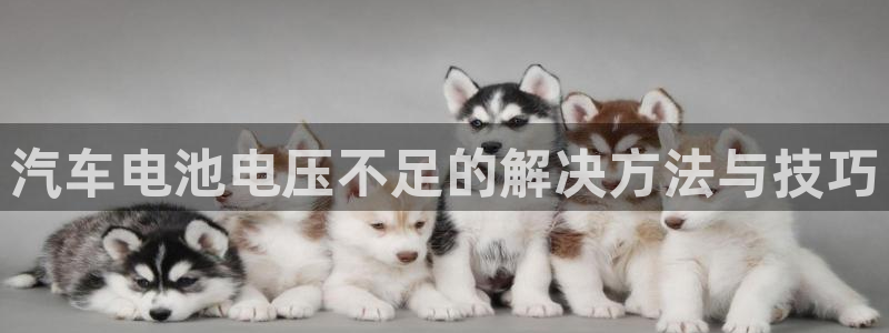 优发国际安卓版下载安装教程