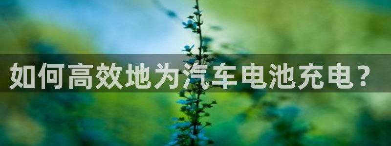 优发国际是真的吗