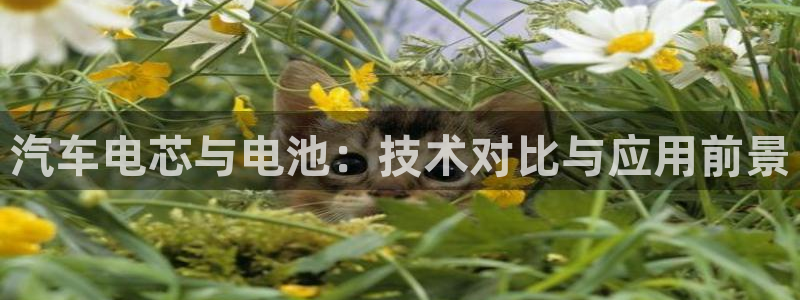 优发国际下载：汽车电芯与电池：技术对比与应用前景