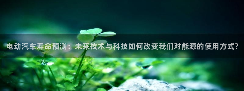 优发国际平台手机版下载安装