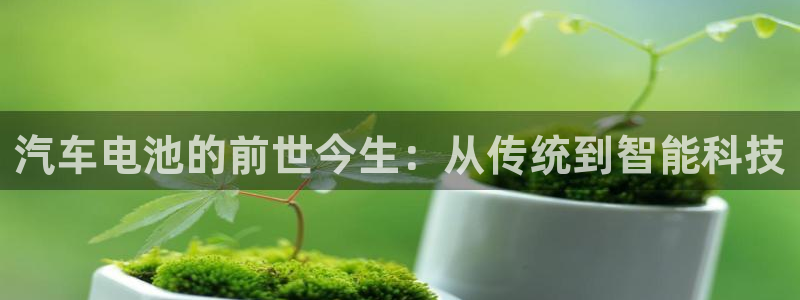 优发国际官网下载安装手机版