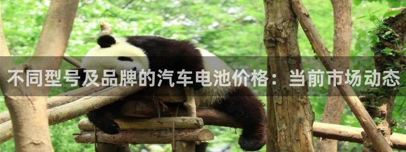 优发国际是大平台吗