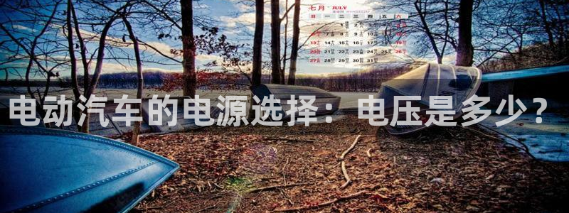优发国际官网是多少号码
