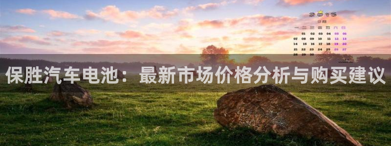 优发国际平台u8是什么：保胜汽车电池：最新市场价格分析与购买建议