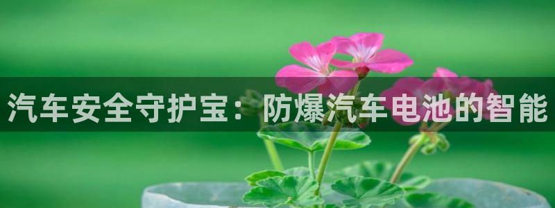 优发国际网站178：汽车安全守护宝：防爆汽车电池的智能