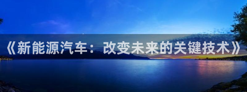优发国际是大平台吗还是小平