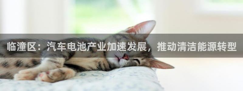 优发国际平台g8怎么样：临潼区：汽车电池产业加速发展，推动清洁能源转型