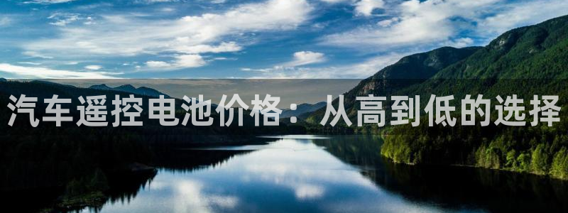 优发国际官网下载安装app：汽车遥控电池价格：从高到低的选择