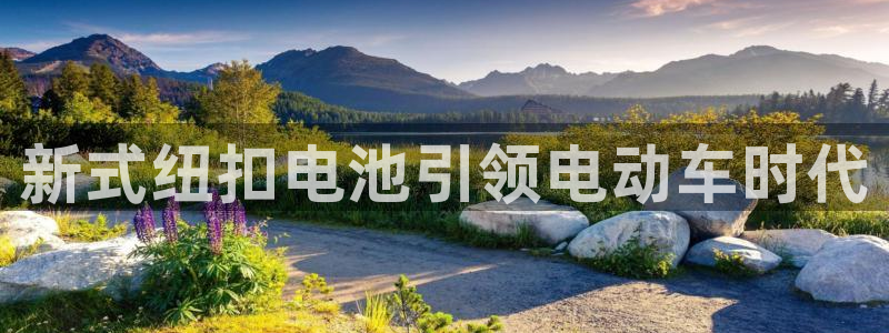 优发国际网站多少：新式纽扣电池引领电动车时代