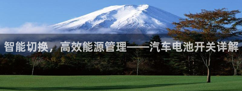 优发国际官网下载：智能切换，高效能源管理——汽车电池开关详解