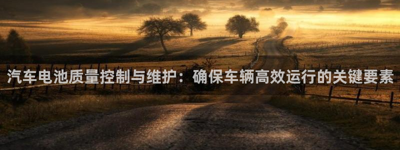 优发国际手机客户端app：汽车电池质量控制与维护：确保车辆高效运行的关键要素