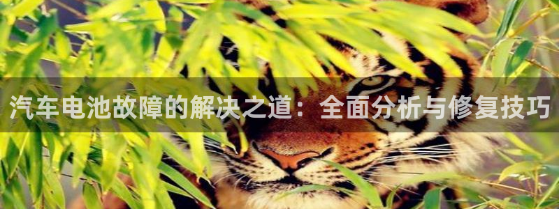 优发国际官网手机版下载安装：汽车电池故障的解决之道：全面分析与修复技巧
