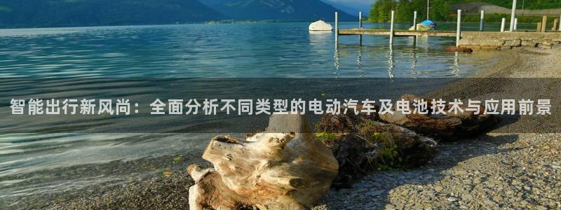 优发国际手机app下载安装官网：智能出行新风尚：全面分析不同类型的电动汽车及电池技术与应用前景