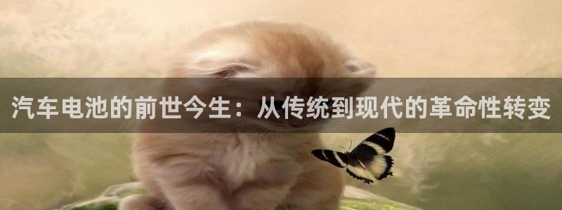 优发国际这个平台怎么样