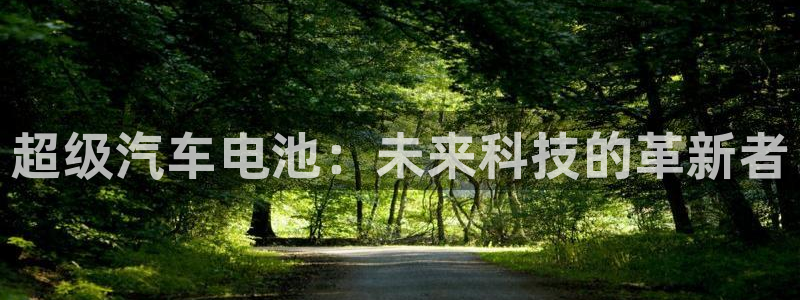 优发国际youfa966：超级汽车电池：未来科技的革新者