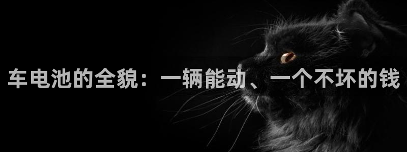 优发国际手机版网站官网：车电池的全貌：一辆能动、一个不坏的钱