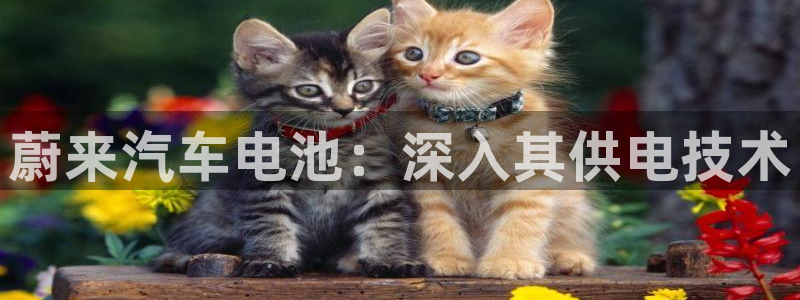 优发国际官网网站