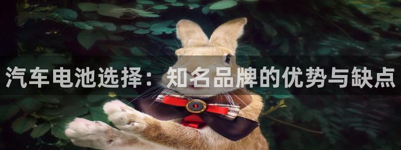 优发国际注册平台是什么：汽车电池选择：知名品牌的优势与缺点